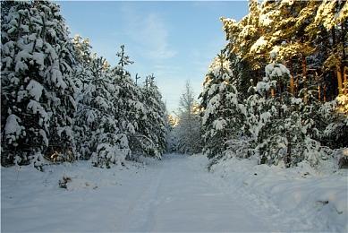 DICE证实相当多测试版玩家未达《战地6》最低配置需求